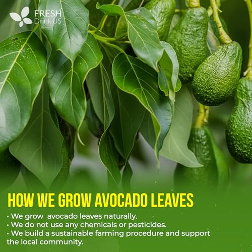 120 Avocado Dried Leaves Tea (120 Count)