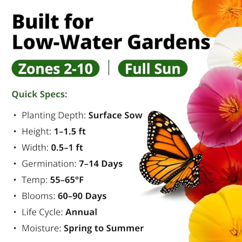 California Poppy Formula Mix 3000 Seeds Eschscholzia californica
