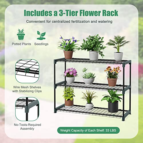 SAFSTAR 7 x 3.5 x 7 ft Greenhouse