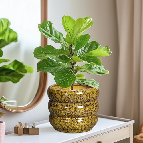 Ceramic Planter (8 Inch / Leopard Print Yellow)