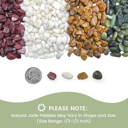 5 LB Natural Gravel Pebbles (5 Pounds / Colorful)