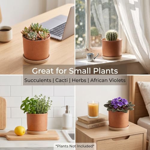 5.8 Inch Ceramic Plant Pot with Drainage Hole & Separate Saucer (Terracotta / 6 inch)
