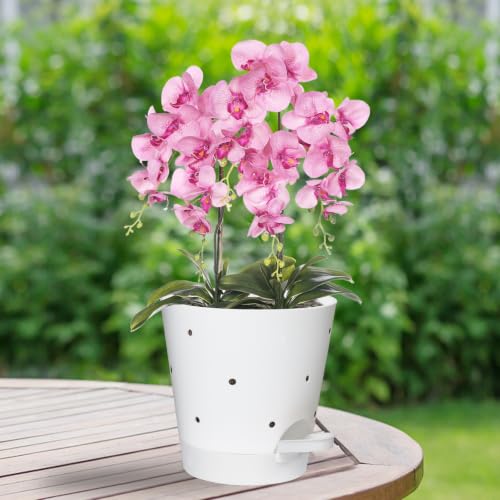 Orchid Pots with Holes (White-5pack)