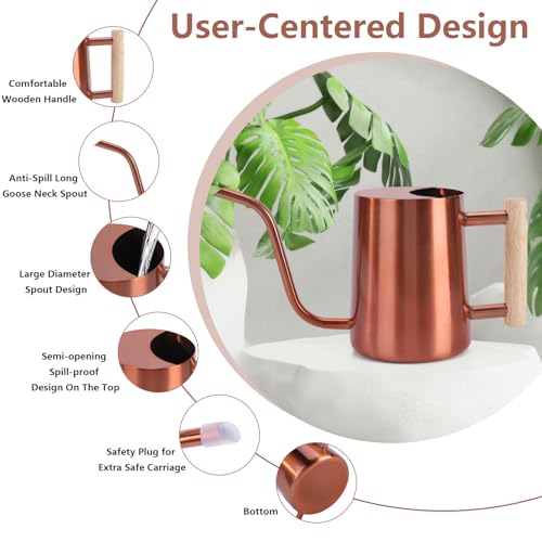 Watering Can Indoor Plants (Copper)