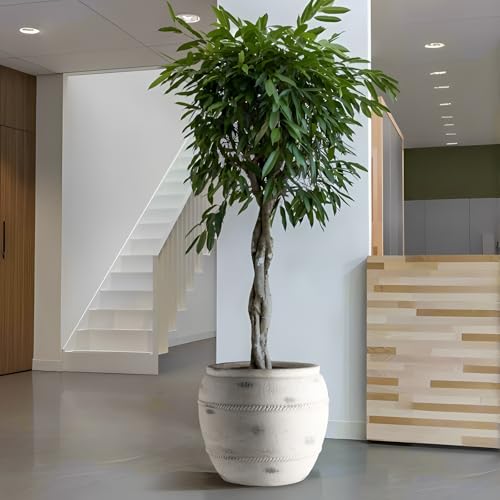 Round Concrete Style Planter Set of 3 (Stone White)
