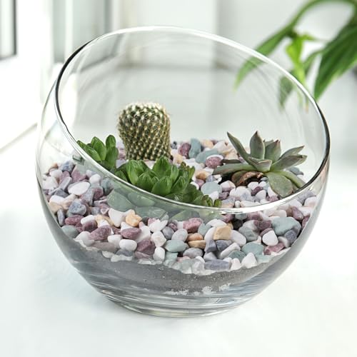 2.5 lbs Pea Gravel for Plants (40 Ounce)