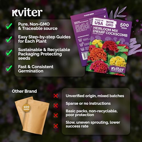 500 Dwarf Mix Cockscomb Heirloom Flower Seeds