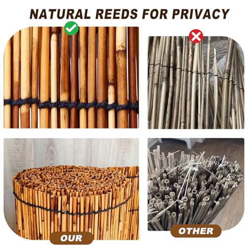 Reed Fencing Rolls (7200 sq in sq in)