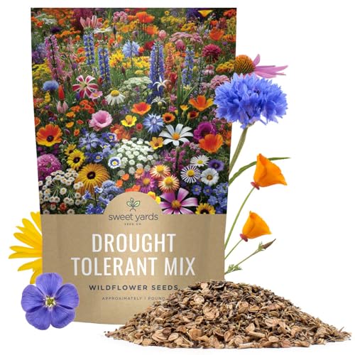 Drought Tolerant Wildflowers Mix (1 lb Bag)