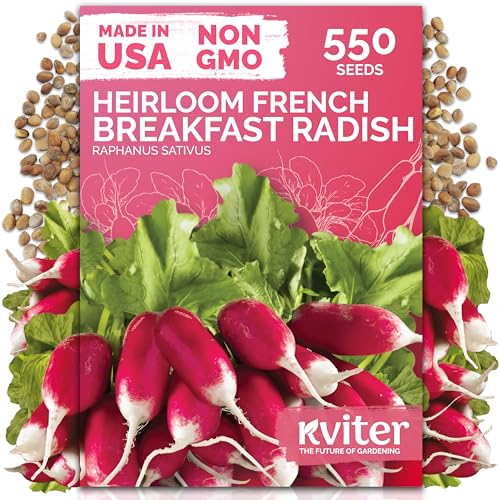 550 French Breakfast Radish Heirloom Vegetable Seeds