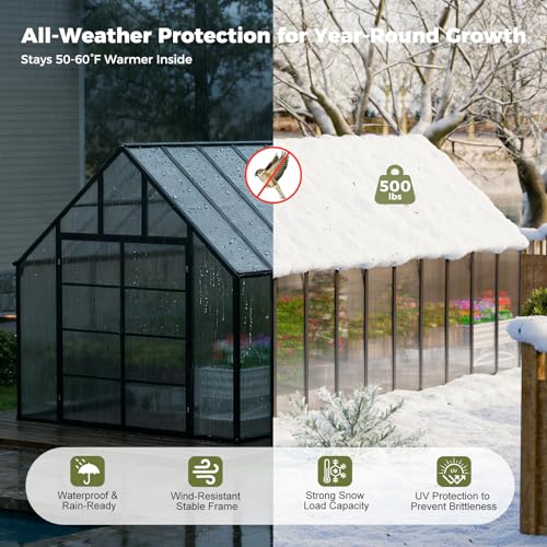 20x10x10 FT Polycarbonate Greenhouse with 4 Roof Vents (20x10x10 FT)