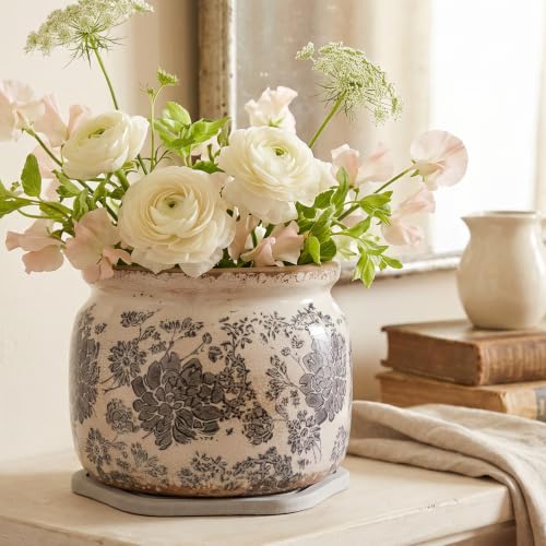 Rustic Ceramic Plant Pot with Decorative Saucer (Gray / 7.7 in - w/ Saucer)