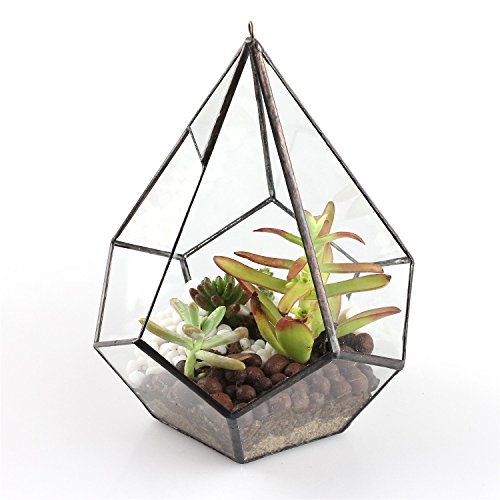 Hanging Glass Geometric Terrarium for Succulent (Black / Medium)