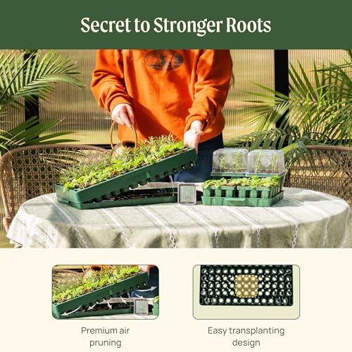 2 Set 76 Cells Seed Starter 10" x 20" Tray Stackable Seedling Starting Germination Trays for Plants Planting Vegetables Herbs Flowers (2 Pack / 76 Cells Stackable Tray)