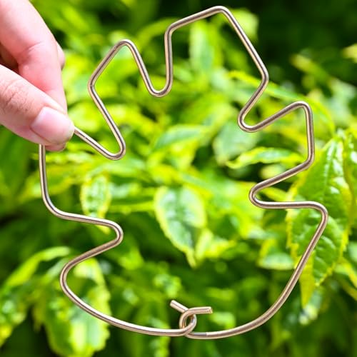 5.5x4.7in Gold Monstera Plant Stem Support System (Gold / 5.5IN*4.7IN)