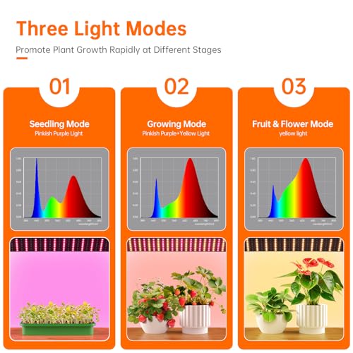 Mini Indoor Greenhouse with Grow Light