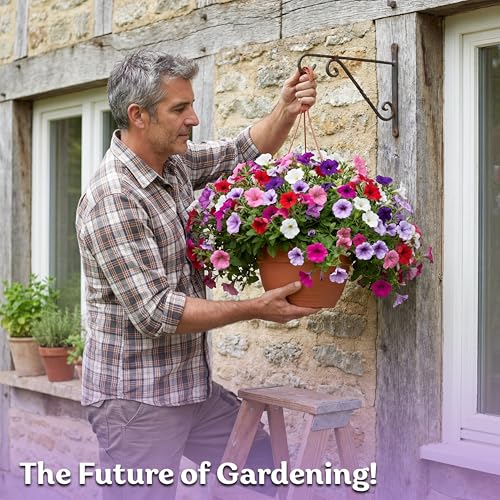 2 000 Mix Dwarf Petunia Heirloom Flower Seeds for Planting