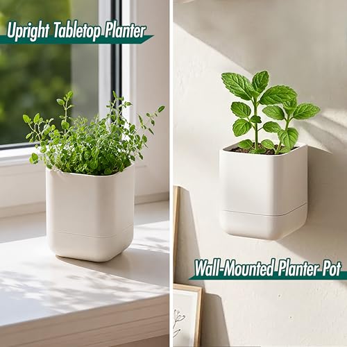3.5 Inch Wall Mounted Self (3.5" (6 Pack) / Oatmeal)