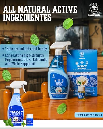 All Natural Bug Spray for Home (17 Fl Oz (Pack of 1))