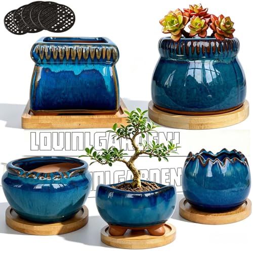 5PACK Glazed Bonsai Planter 3" Small Succulent Pots (5pcs Pots With Trays)