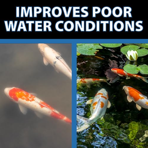 Barley Extract Pond Treatment