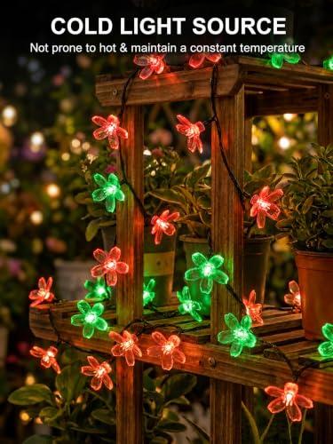 Solar Flower String Lights Outdoor Waterproof 50 LED Fairy Lights (Red & Green / 1 Pack)