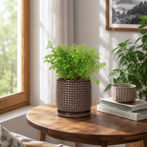 Beaded Ceramic Pot with Saucer (5.8 Inch / Stone Taupe)