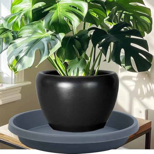 Plant Saucer 10 Inch 5 Pack Thickened Plastic Plant Saucers Drip Trays for Indoor Plants and Outdoor Pots (10" (5 Pack) / Gray)