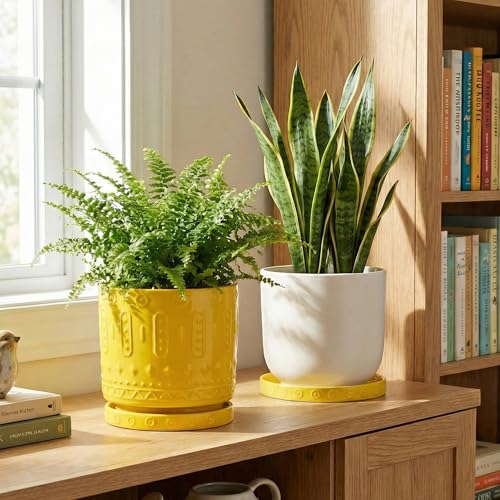 Plant Water Catcher Tray 7.5 Inch (7.5 Inch (2 Pack) / Yellow)