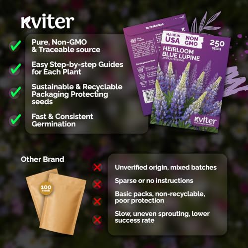 250 Blue Lupine Heirloom Flower Seeds for Planting