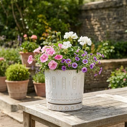 Ceramic Planter (6 Inch / White - 2)