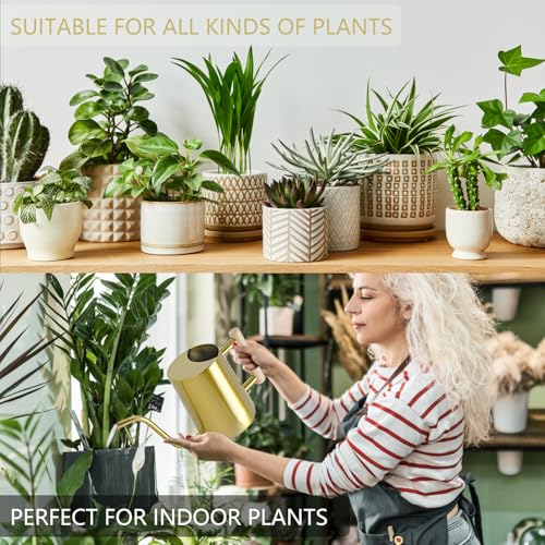 Watering Can Indoor Plants (Gold)