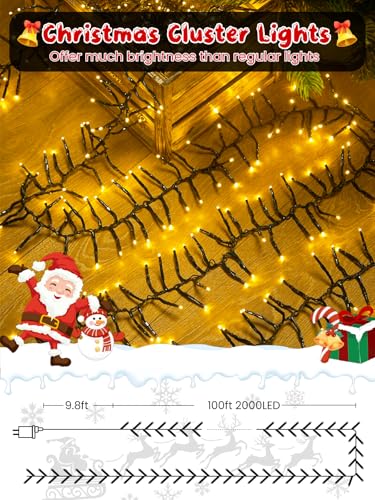 Christmas Cluster Lights 100FT 2000 LED String Light with Remote Warm White (Warm White / 2000LED)