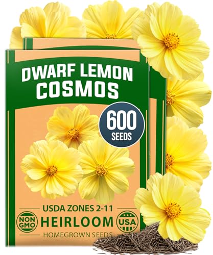 Dwarf Lemon Cosmos Seeds