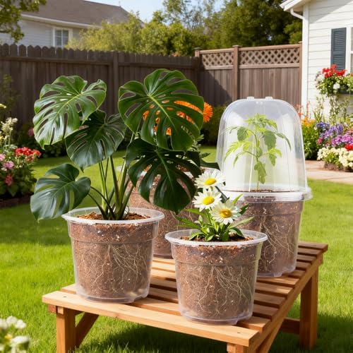 6 Inch Clear Nursery Pots with Humidity Dome (6 Inch Clear Pots With Domes-30p / 6Inch)