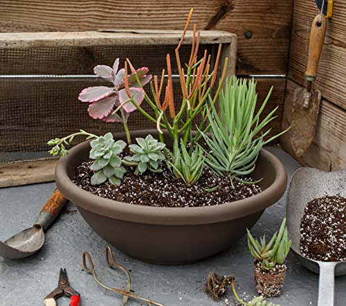 20 Inch Large Garden Bowl Planter