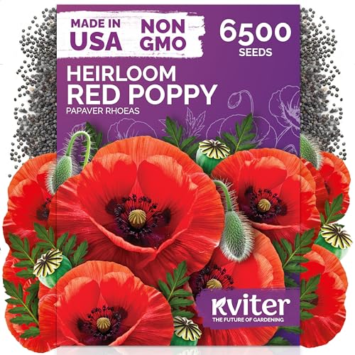 6 500 Red Poppy Heirloom Flower Seeds for Planting