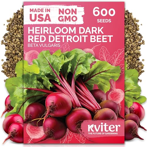 600 Detroit Dark Red Beet Heirloom Vegetable Seeds