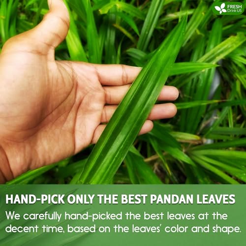 Premium 30 Bags Pandan Leaf Tea (30 Tea Bags)