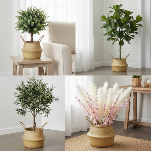 4 Pcs Woven Seagrass Baskets Belly Basket (XS,S,M,L)