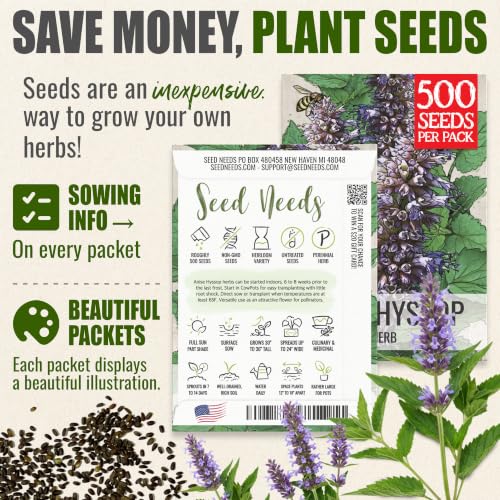 Anise Hyssop Seeds to Plant Perennial Heirloom Herbs 2 Packs (2 Packs)