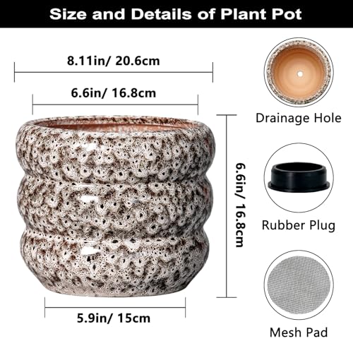 Ceramic Plant Pots (8 Inch / Leopard Print White)