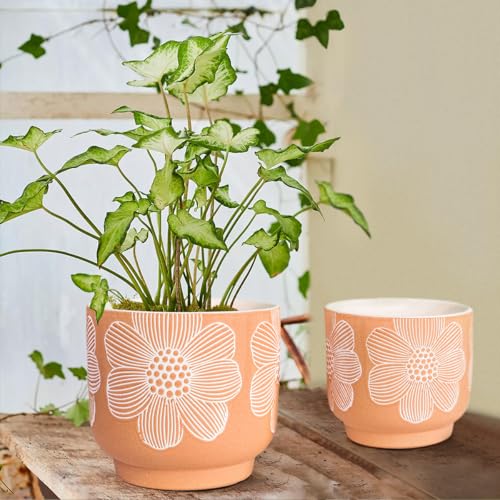 Ceramic Plant Pots (8+6 Inch / Modern Orange Floral)
