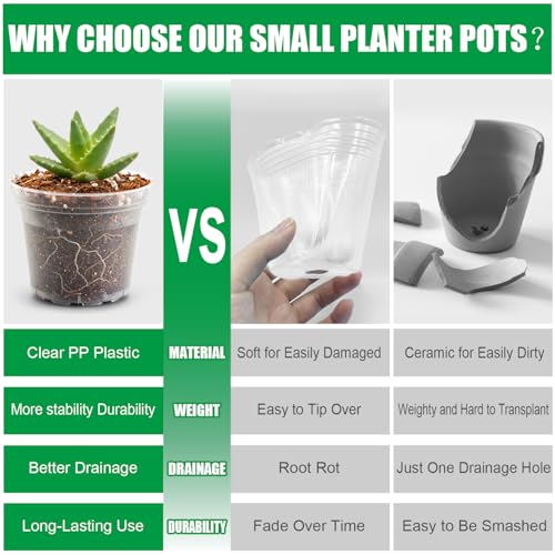 50 Pack 3 Inch Clear Nursery Pots with Drainage Hole (Clear / 3 Inch-50P)