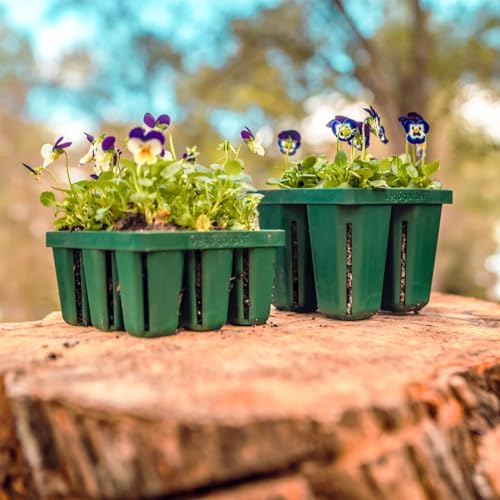 Seedling Suite Products (8 Count)