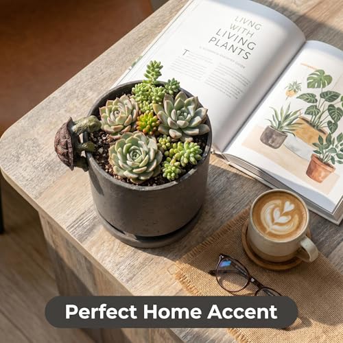 Ceramic Plant Pot with Resin Figure for Idoor Plants (Charcoal Gray+rt / 5.7 Inch)