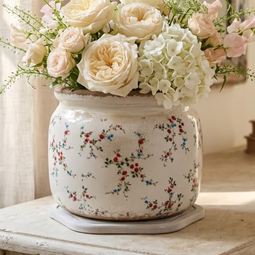 Cottage Core Ceramic Plant Pot with Decorative Saucer (Tiny Red / 7.7 in - w/ Saucer)