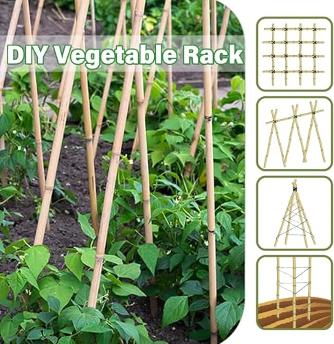Natural Bamboo Plant stake2FT 50Pcs (2ft-50pcs)