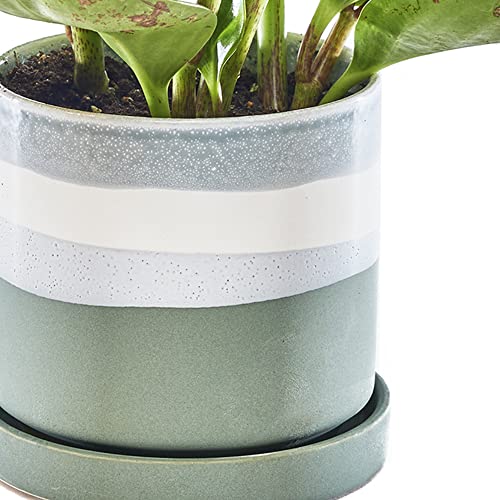 Minute’ Ceramic Planter Pot