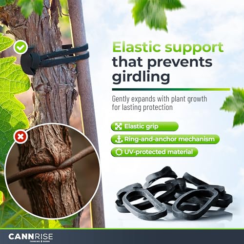 Anchor Bands for Trellising (110 Piece)